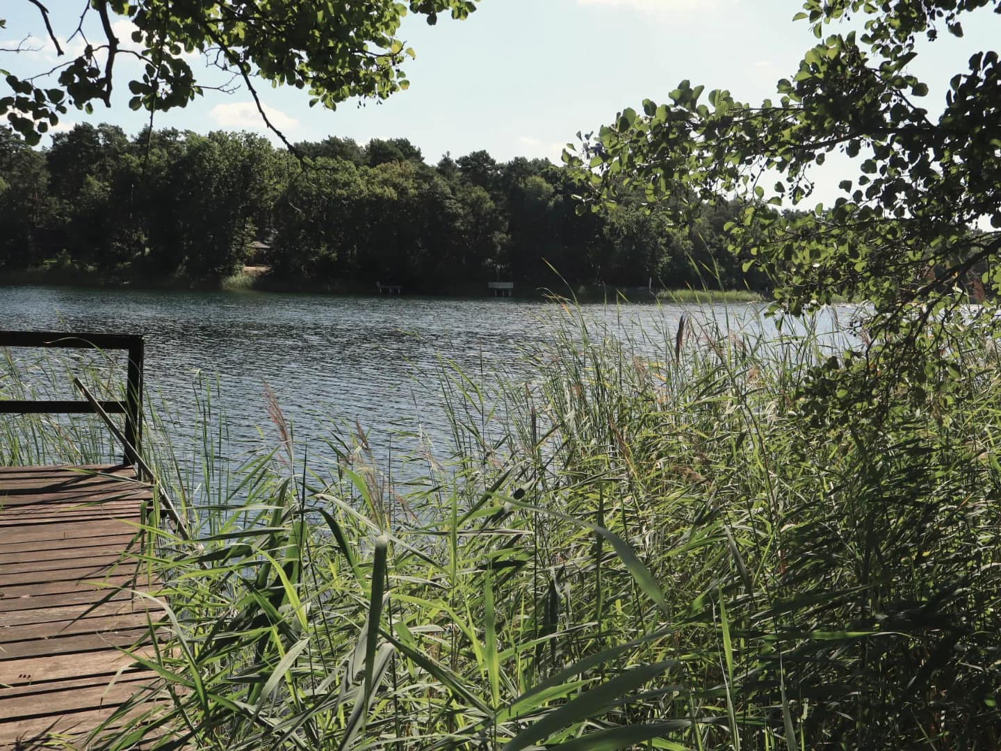 Blick vom Ufer über den Stolzenhagener See auf den bewaldeten Gegenhang